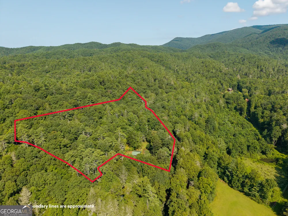 61 Wilderness TRL Ellijay, GA 30540
