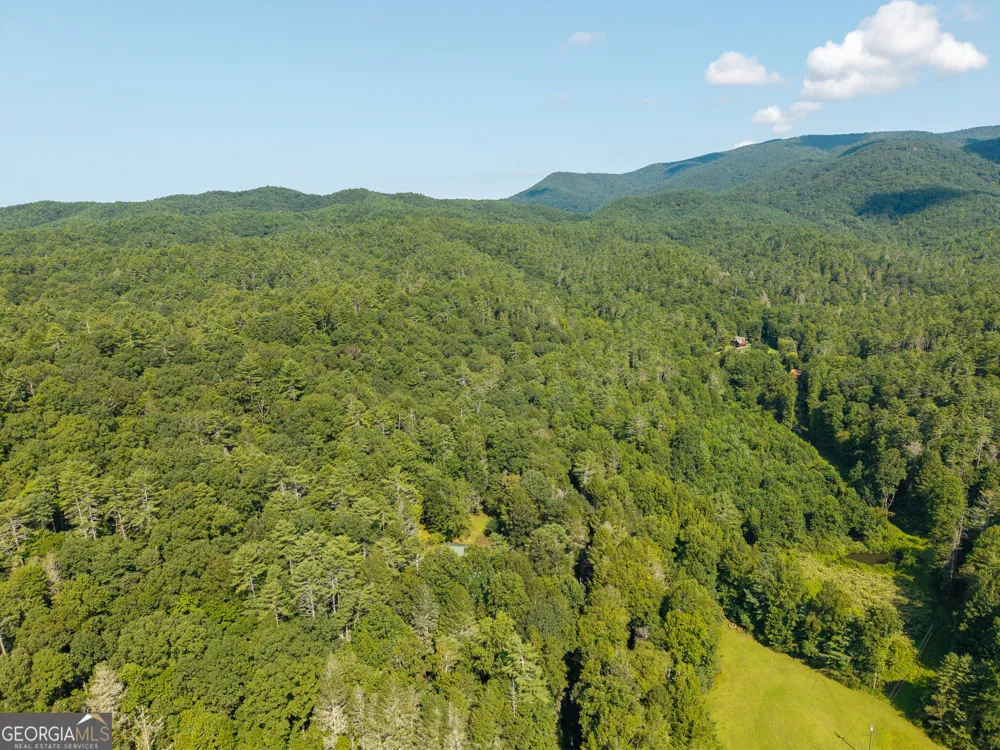 61 Wilderness TRL Ellijay, GA 30540