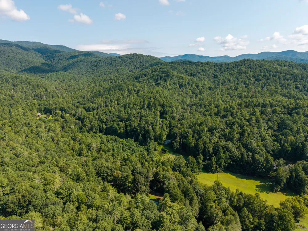 61 Wilderness TRL Ellijay, GA 30540
