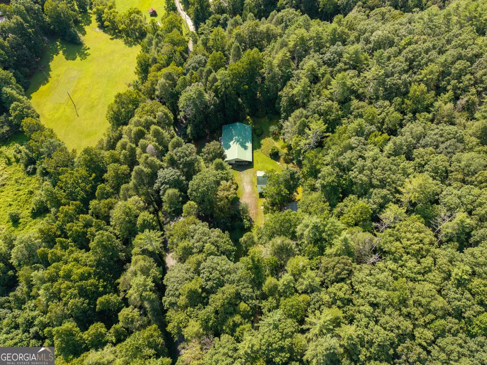 61 Wilderness TRL Ellijay, GA 30540