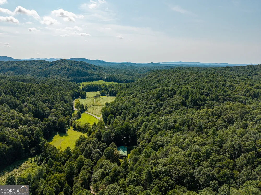 61 Wilderness TRL Ellijay, GA 30540