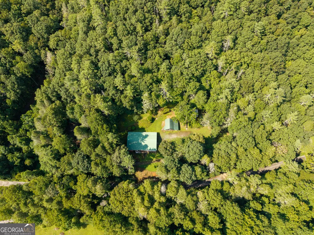 61 Wilderness TRL Ellijay, GA 30540