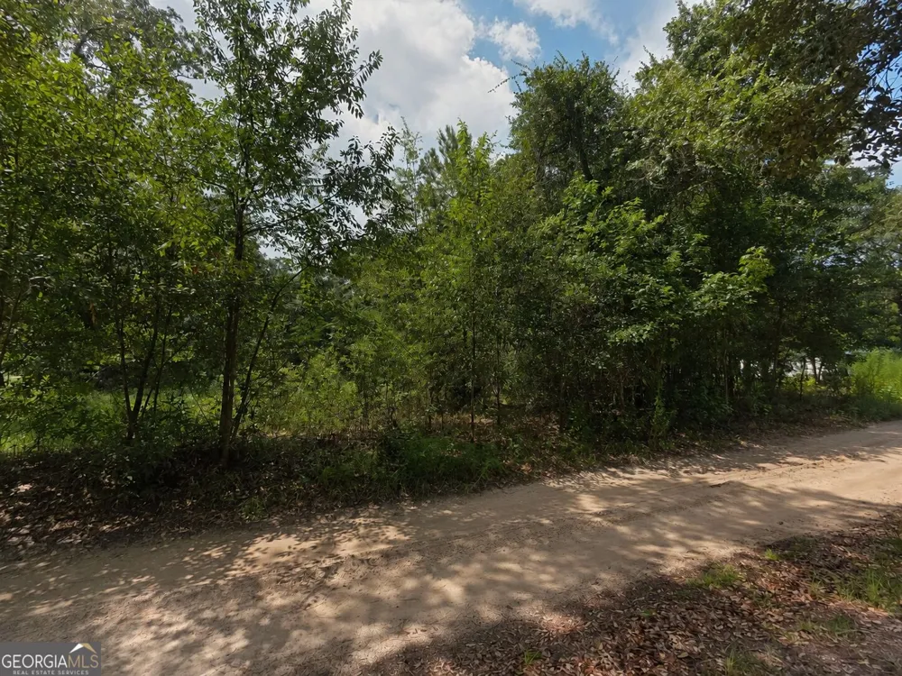 0 Second AVE Waynesville, GA 31566