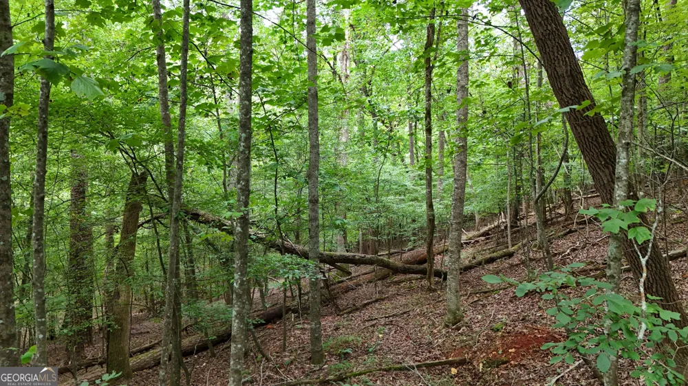 LOT 16 Morris TRL Cleveland, GA 30528