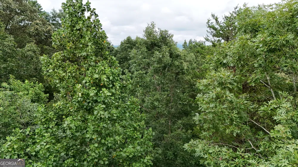 LOT 16 Morris TRL Cleveland, GA 30528