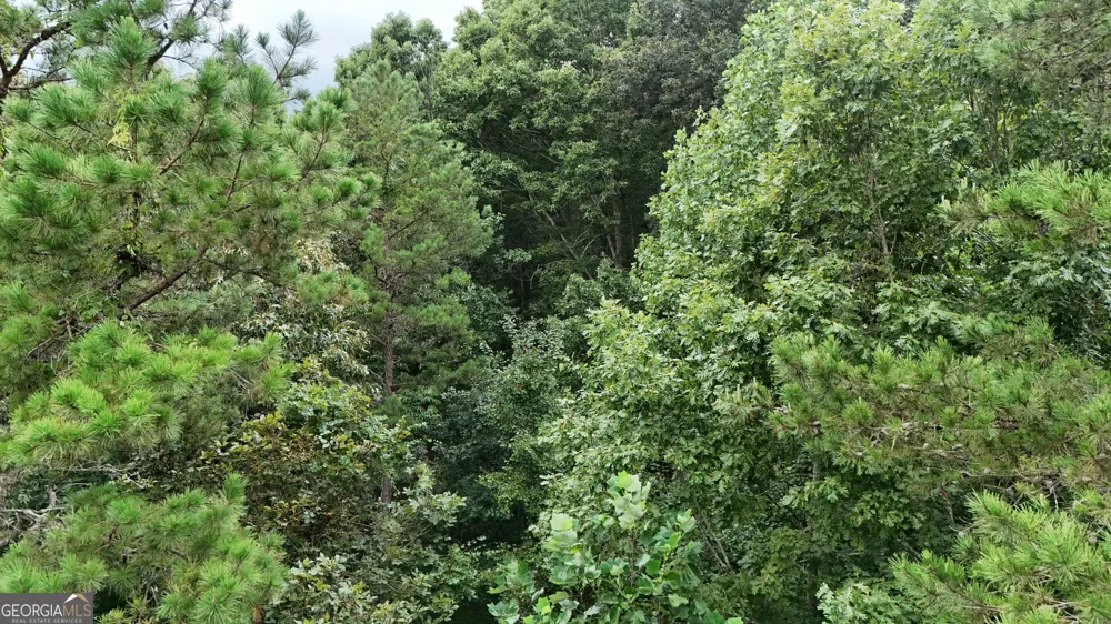 LOT 16 Morris TRL Cleveland, GA 30528