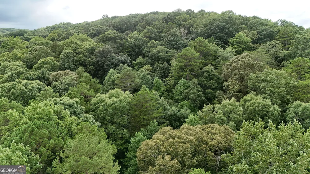 LOT 16 Morris TRL Cleveland, GA 30528