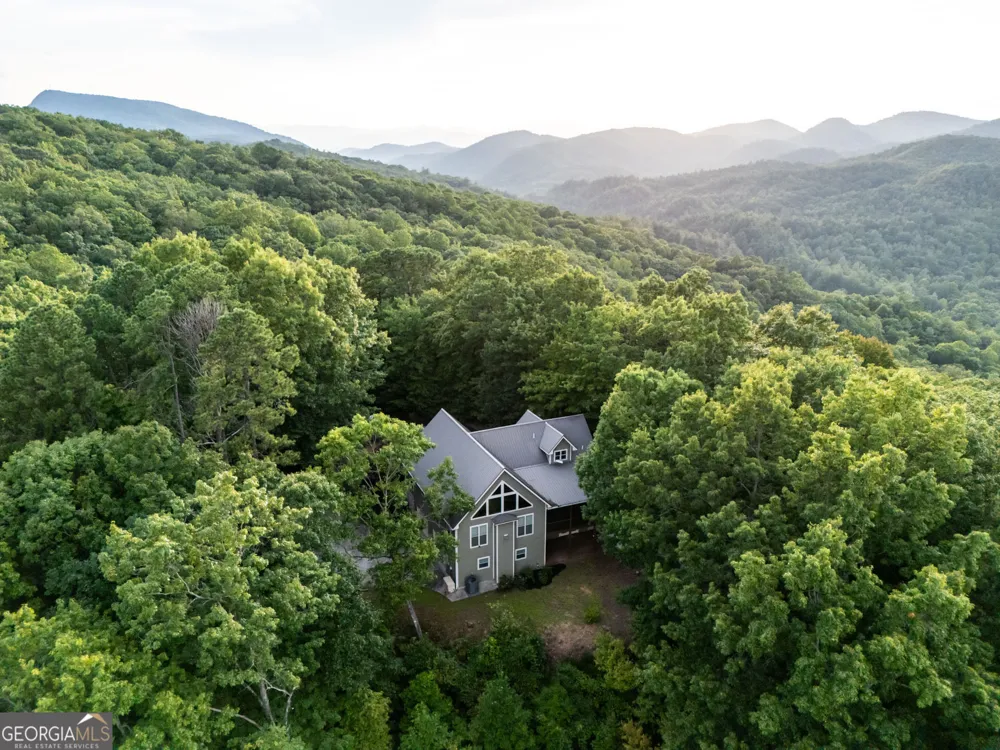 1176 Tiger Pass DR Tiger, GA 30576