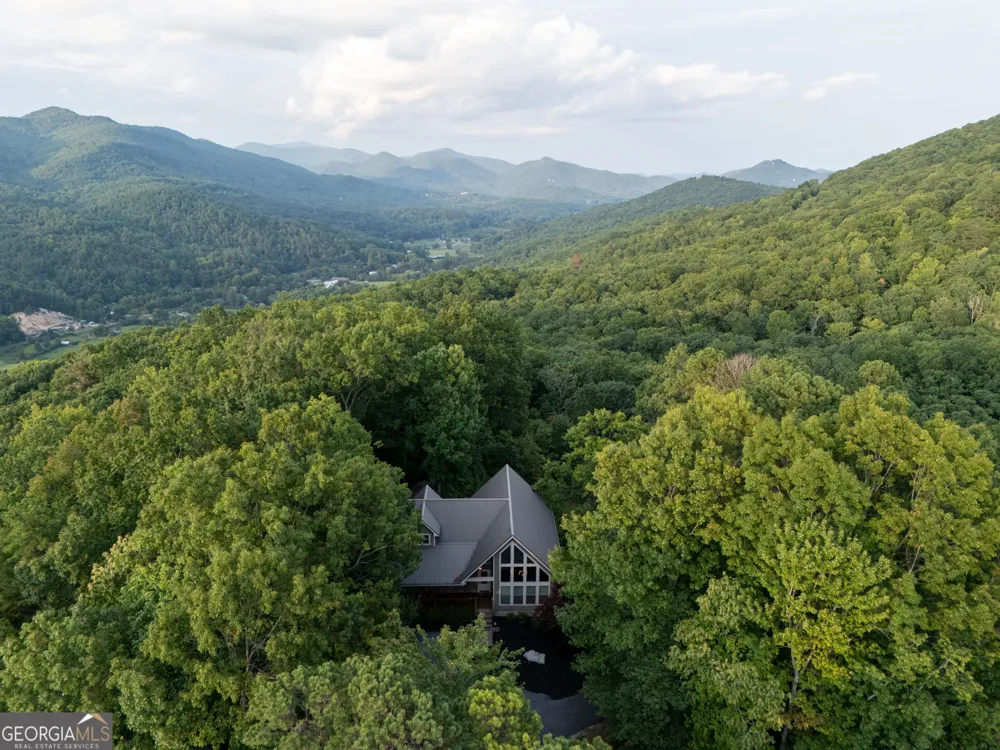 1176 Tiger Pass DR Tiger, GA 30576