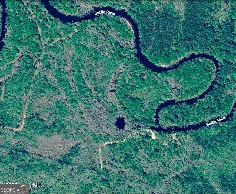 75+/- ACRES Lewis Landing Nahunta, GA 31553
