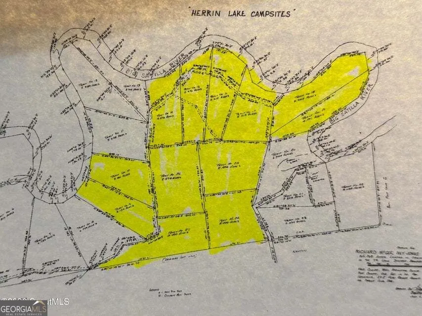 75+/- ACRES Lewis Landing Nahunta, GA 31553
