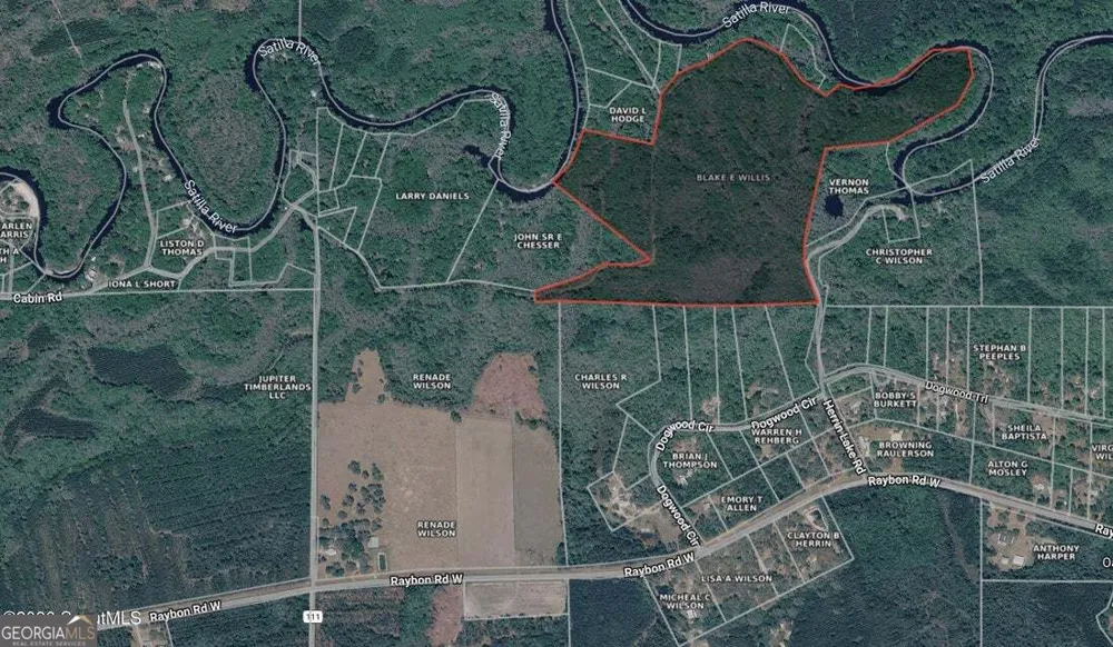 75+/- ACRES Lewis Landing Nahunta, GA 31553