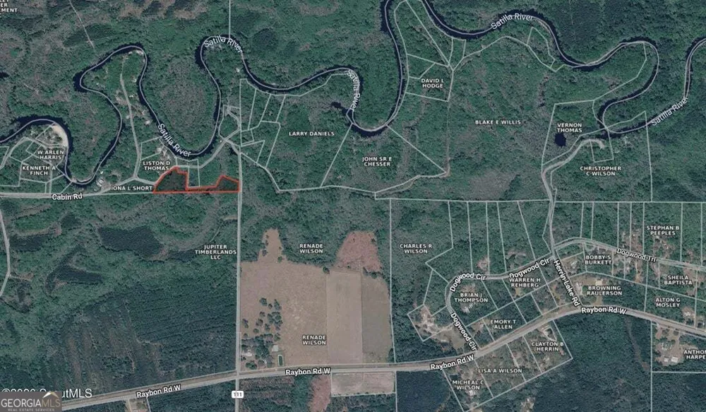 75+/- ACRES Lewis Landing Nahunta, GA 31553