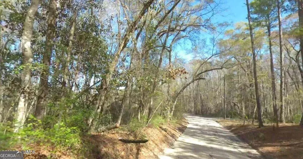 75+/- ACRES Lewis Landing Nahunta, GA 31553
