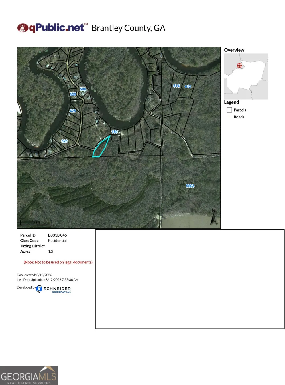 75+/- ACRES Lewis Landing Nahunta, GA 31553