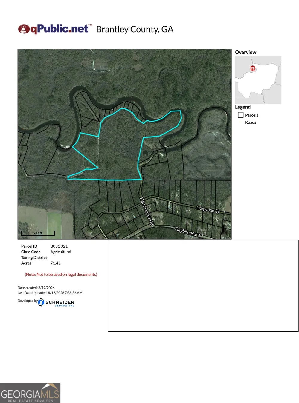 75+/- ACRES Lewis Landing Nahunta, GA 31553