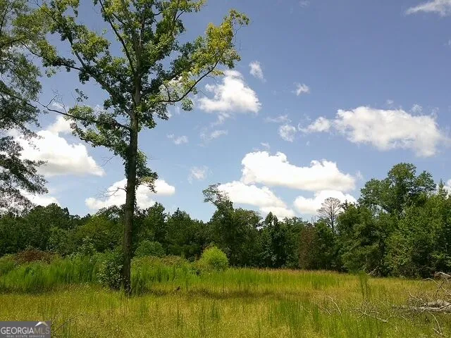 0 Highway 221 S Kite, GA 31049