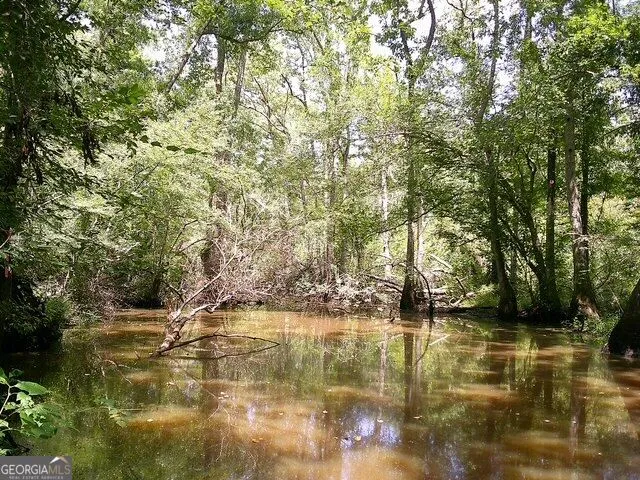 0 Highway 221 S Kite, GA 31049