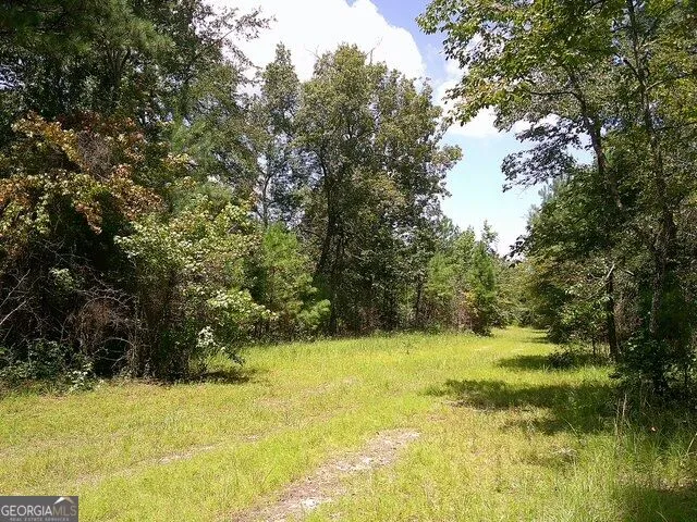 0 Highway 221 S Kite, GA 31049