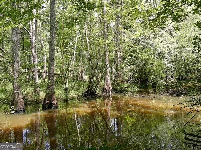 0 Highway 221 S Kite, GA 31049