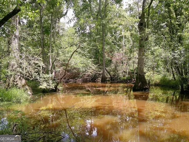 0 Highway 221 S Kite, GA 31049