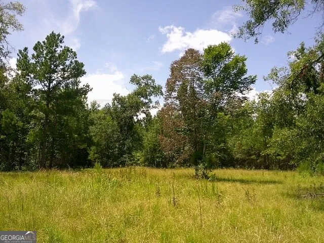 0 Highway 221 S Kite, GA 31049