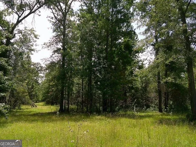 0 Highway 221 S Kite, GA 31049