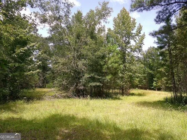 0 Highway 221 S Kite, GA 31049