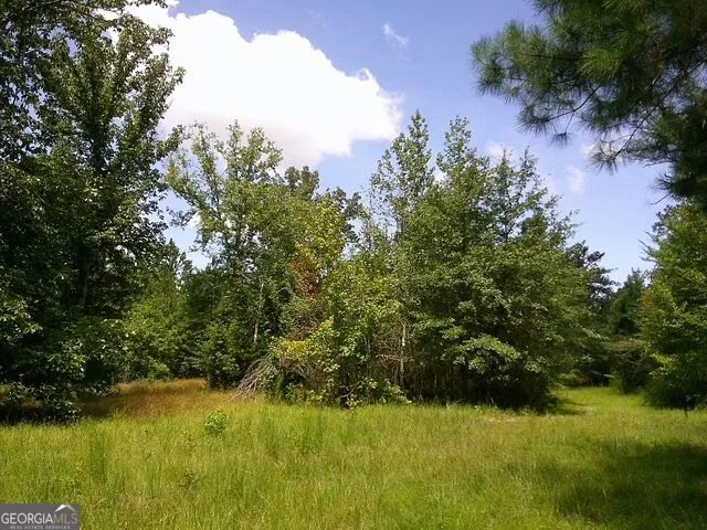 0 Highway 221 S Kite, GA 31049