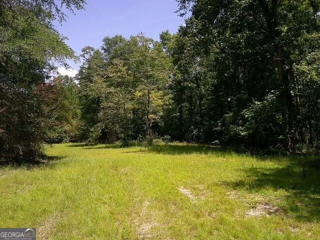 0 Highway 221 S Kite, GA 31049