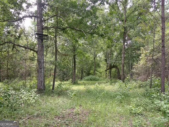 0 Highway 221 S Kite, GA 31049