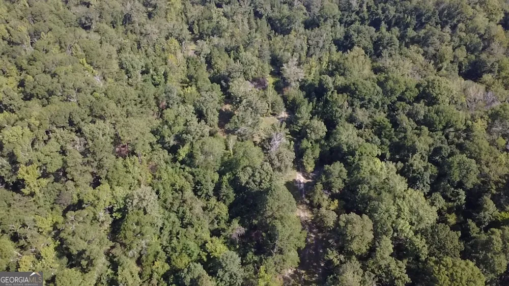 0 Highway 221 S Kite, GA 31049