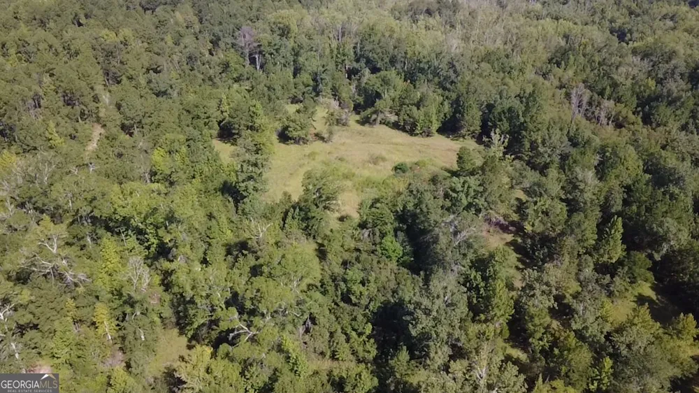 0 Highway 221 S Kite, GA 31049