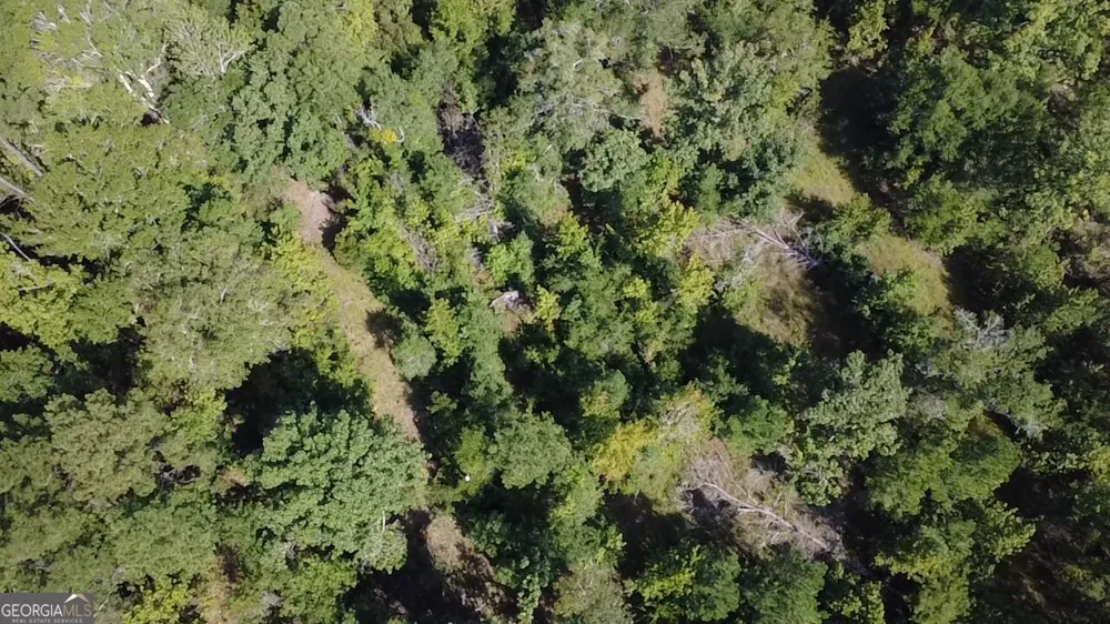 0 Highway 221 S Kite, GA 31049