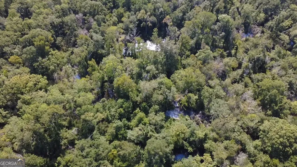 0 Highway 221 S Kite, GA 31049