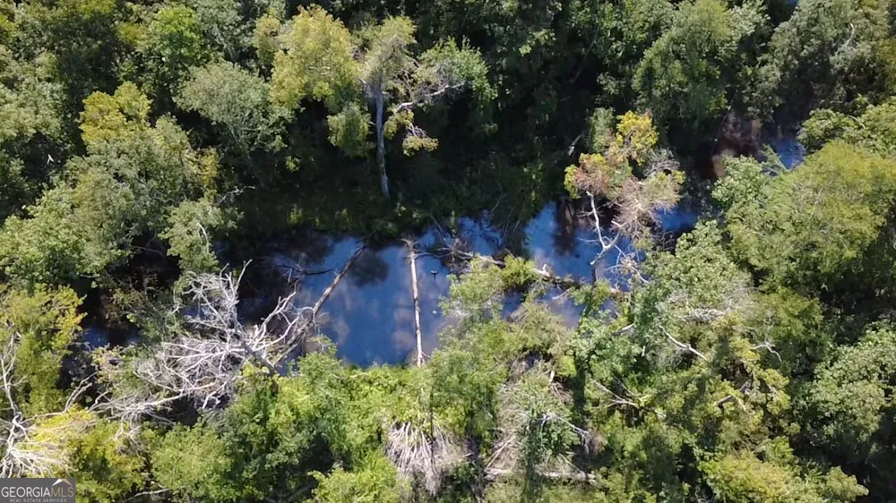 0 Highway 221 S Kite, GA 31049