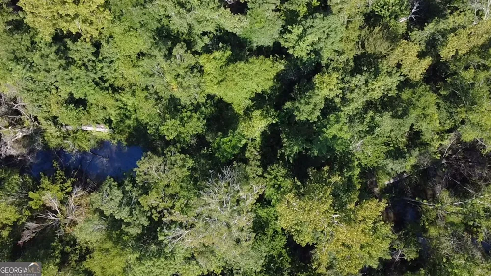 0 Highway 221 S Kite, GA 31049