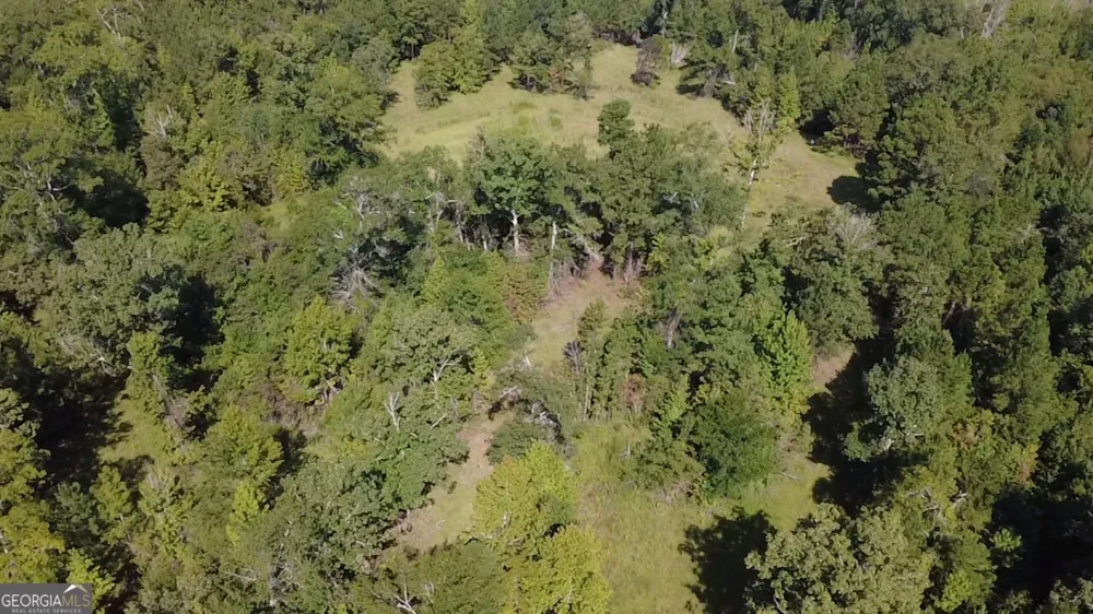 0 Highway 221 S Kite, GA 31049