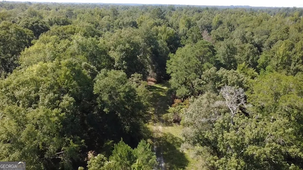 0 Highway 221 S Kite, GA 31049