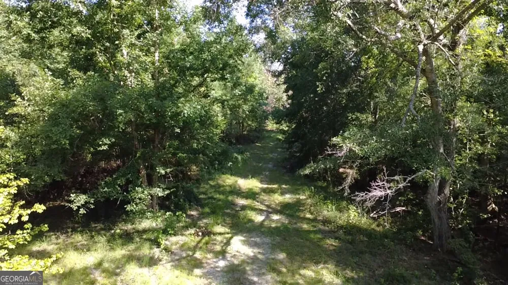 0 Highway 221 S Kite, GA 31049