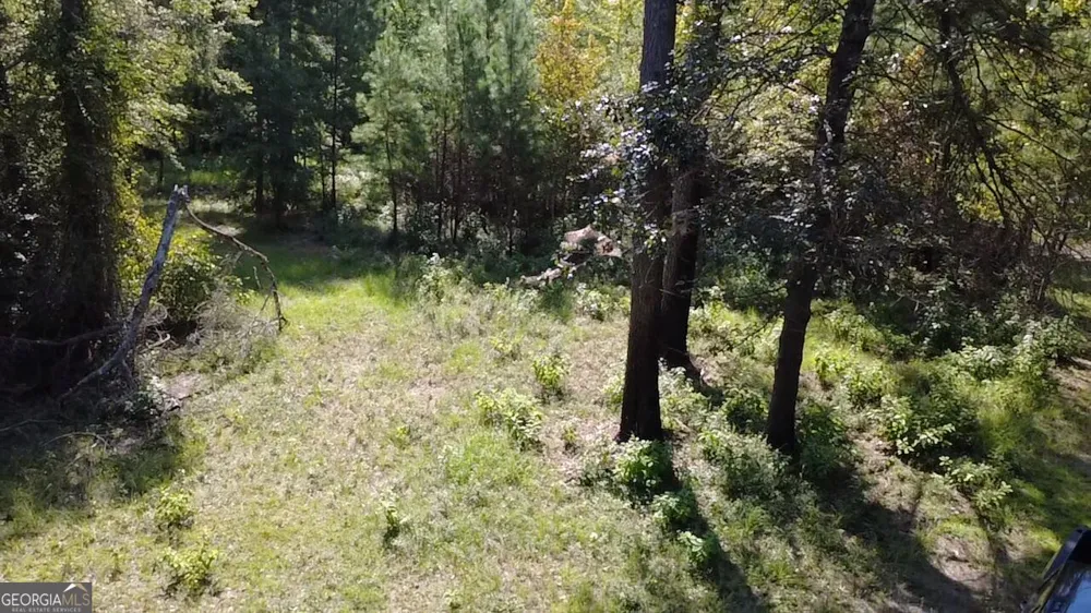 0 Highway 221 S Kite, GA 31049
