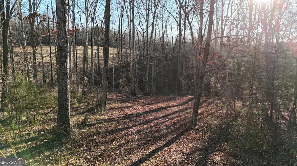 151 Sandy Springs DR Athens, GA 30601