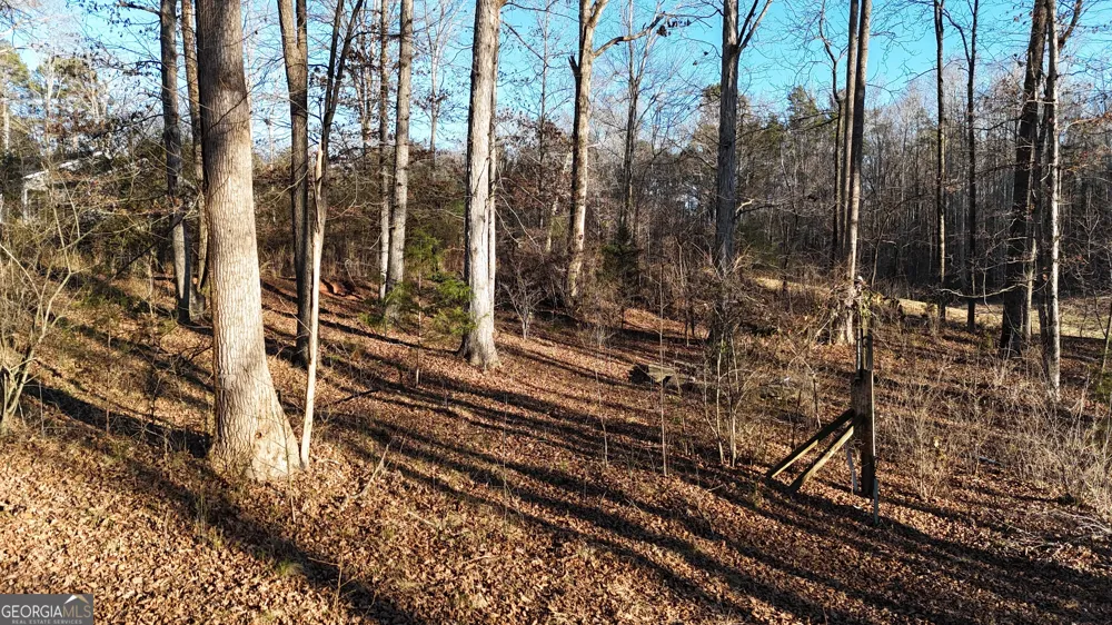 151 Sandy Springs DR Athens, GA 30601