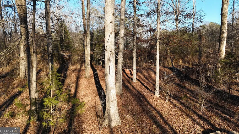 151 Sandy Springs DR Athens, GA 30601
