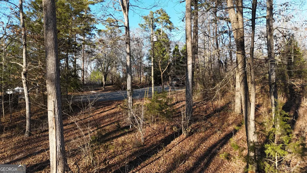 151 Sandy Springs DR Athens, GA 30601