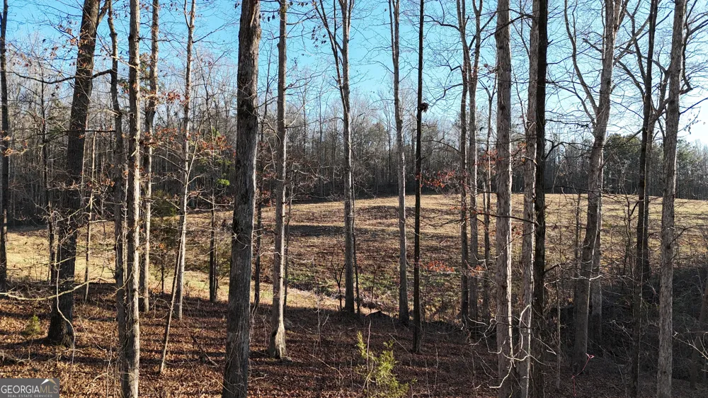 151 Sandy Springs DR Athens, GA 30601