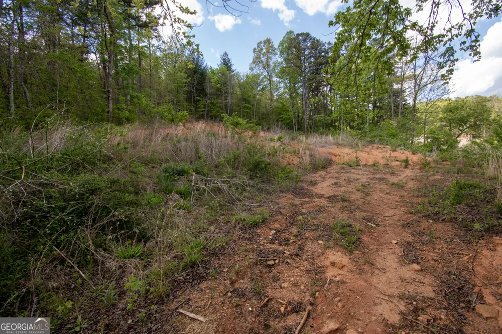 0 W Vineyard RD Hayesville, NC 28904
