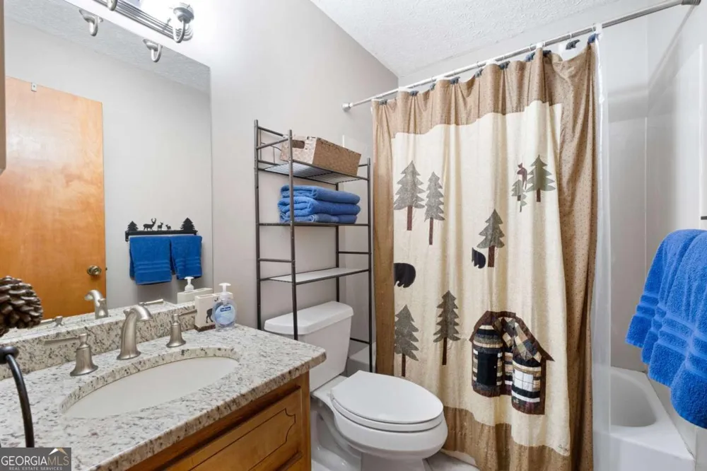 226 Mountain View CT Ellijay, GA 30536