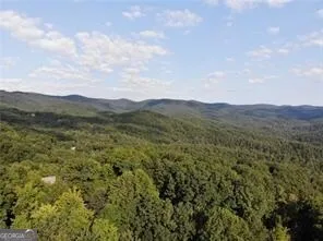 3005 Wild Turkey KNL Jasper, GA 30143