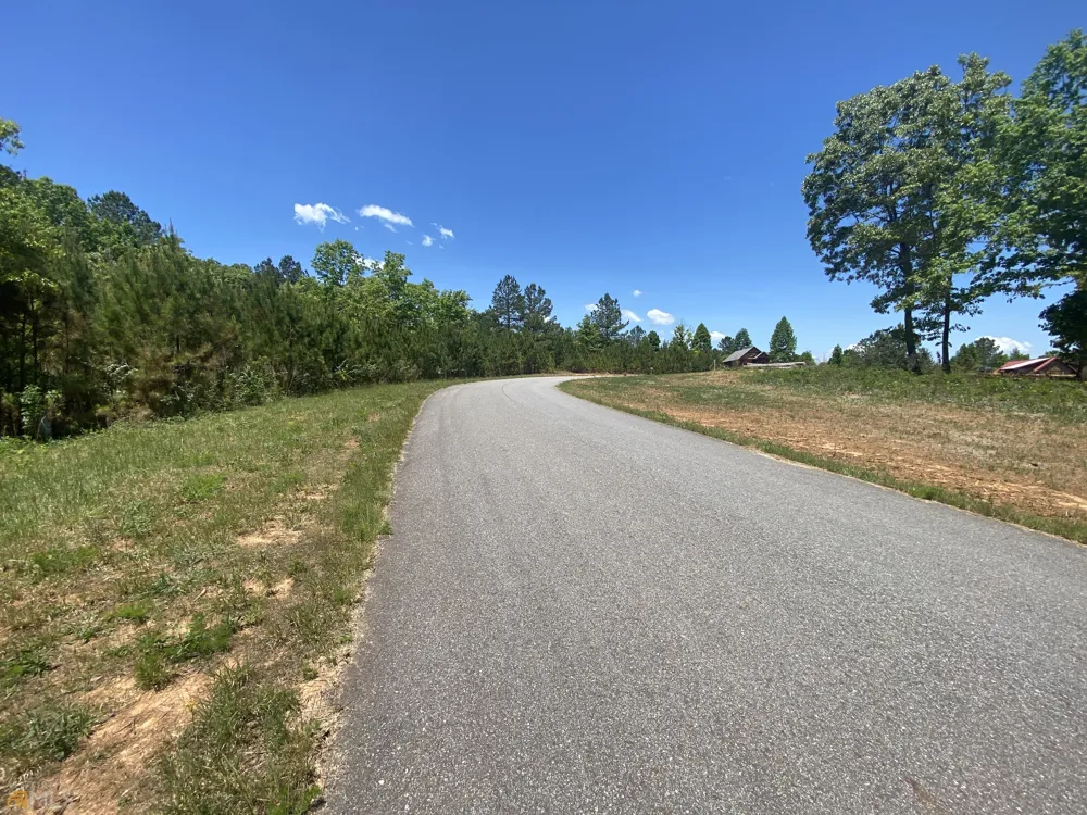 LT 55 Village Loop Blairsville, GA 30512